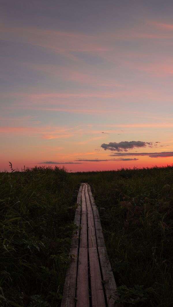 Peaceful sunset path with warm evening light and open walking space